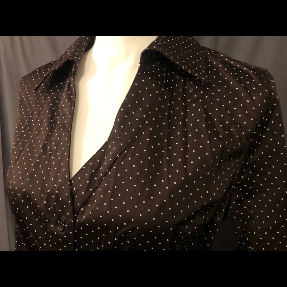 Merona Brown Polka Dot Midi Dress